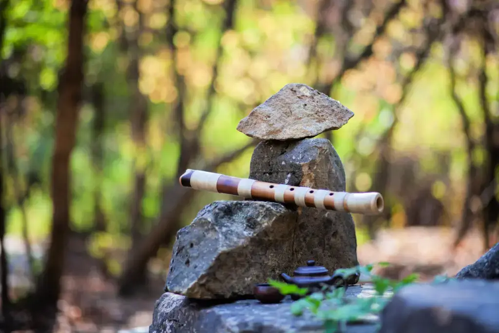 A shakuhachi sitting on a rock in the middle of a forest.