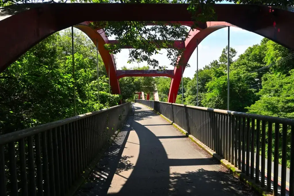 A bridge on the Lake Tama Cycling Road.