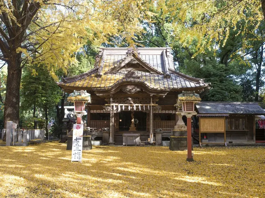 Tanashi Shrine, a sight in the Tama Region.