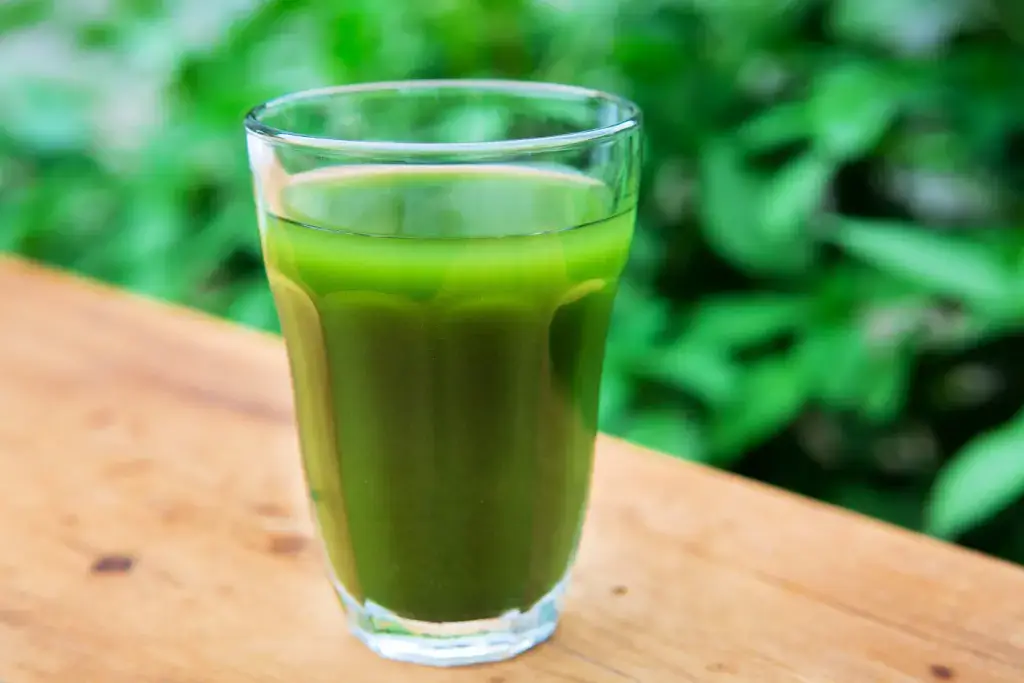 A cup of aojiru (green juice), one of many Japanese drinks.