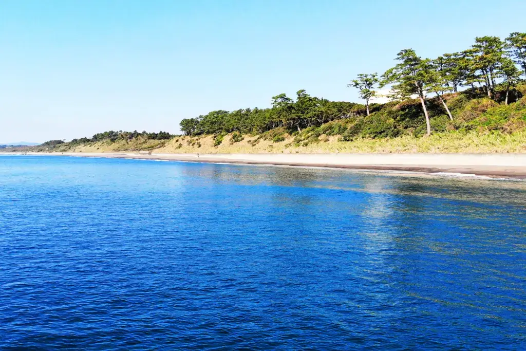 The Satsuma Peninsula shore, lined with palm trees.