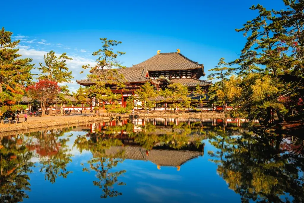 A pond near Buddha Hall in Nara City.