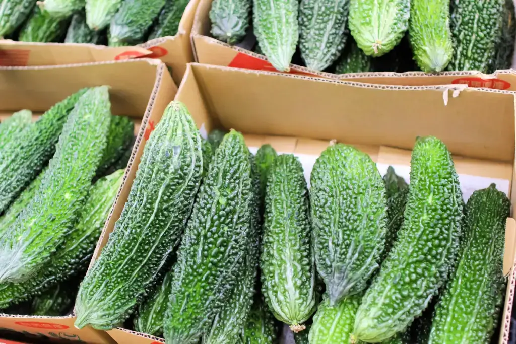 A bunch of bitter melons in a box on sale.