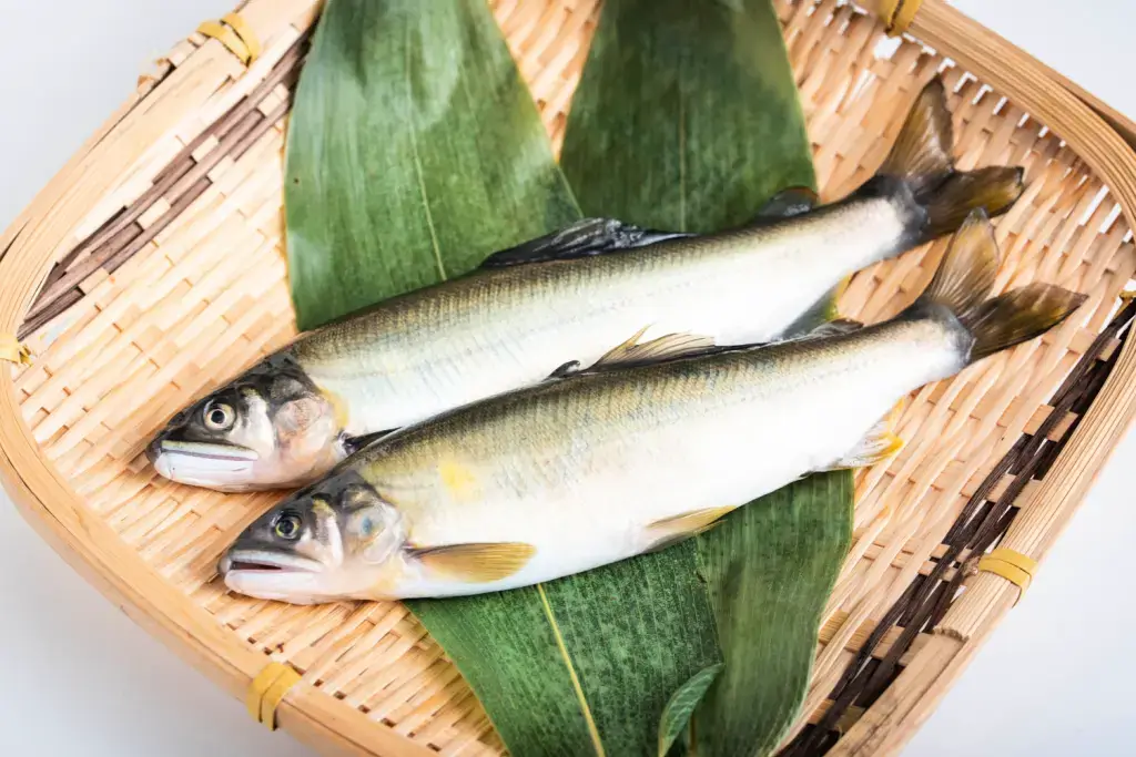 Fresh sweetfish on a leaf.