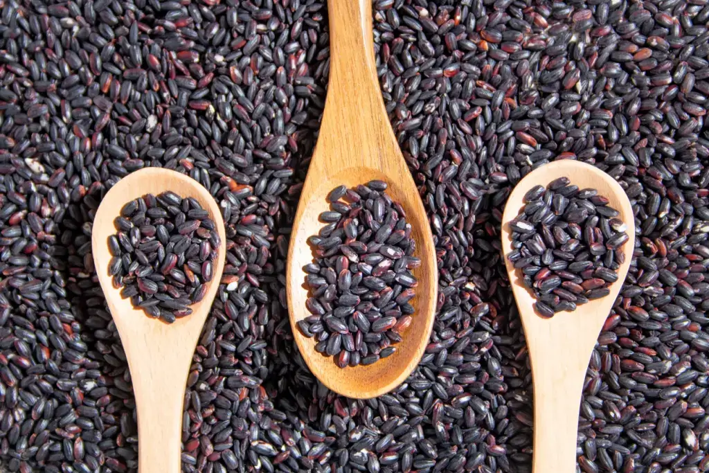 Three different spoons of black rice.