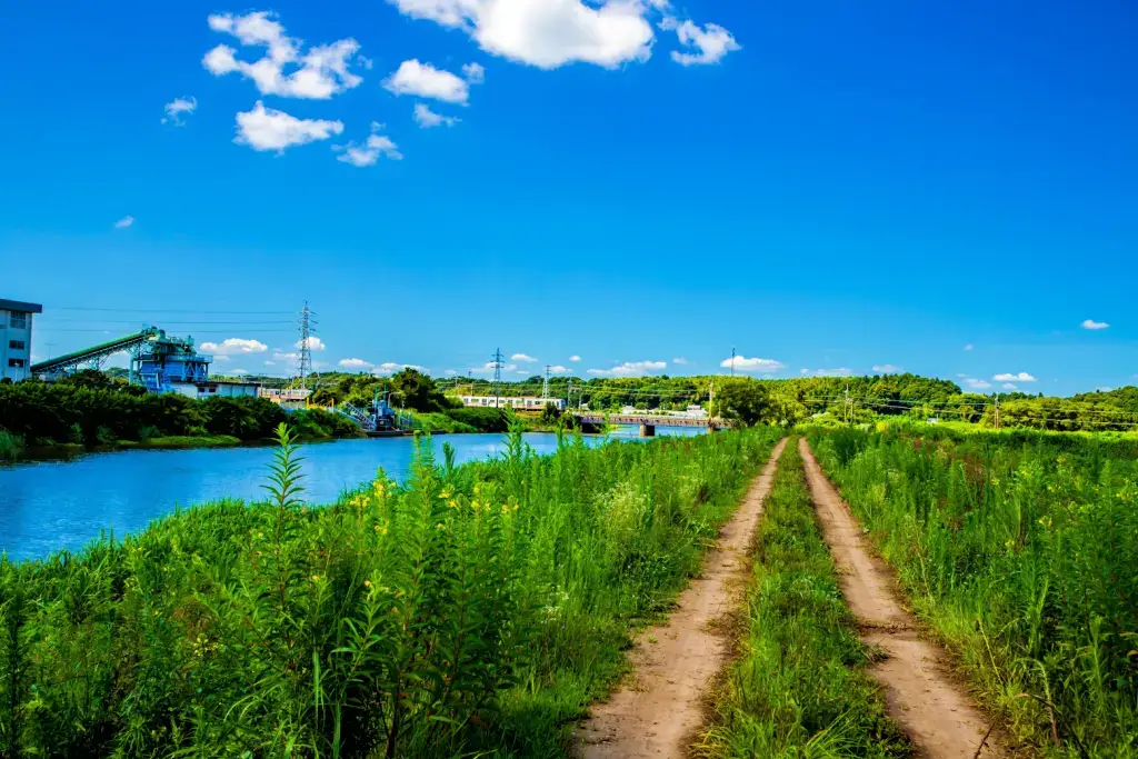 A meadow in Sakura City, Chiba Prefecture.