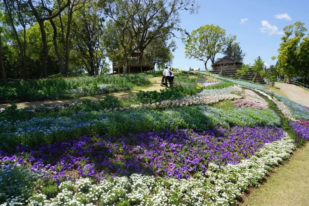 The Kochi Prefectural Makino Botanical Garden.