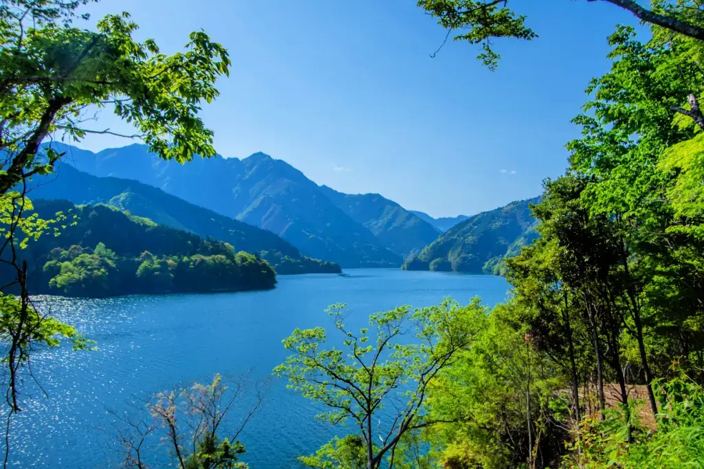 A forest and river scene in Kochi Prefecture.