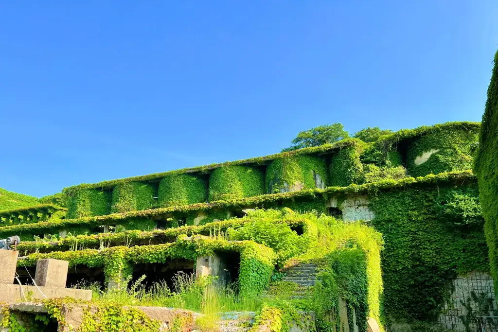 An overgrown building in Sado Island.