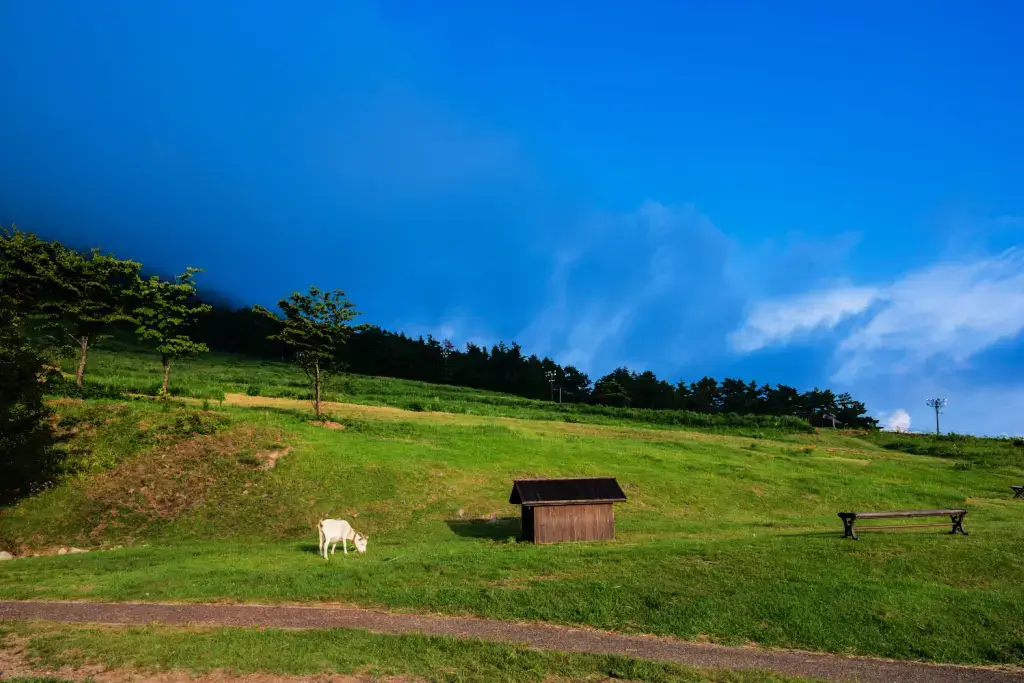 A meadow neat Moutn Daisen.