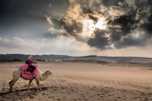 A person riding the camels in the Tottori Sand Dunes on a cloudy day.