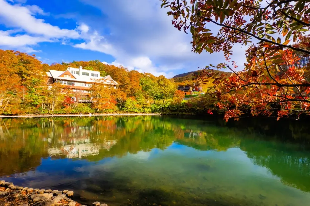 Dokkonuma Swamp in the autumn.