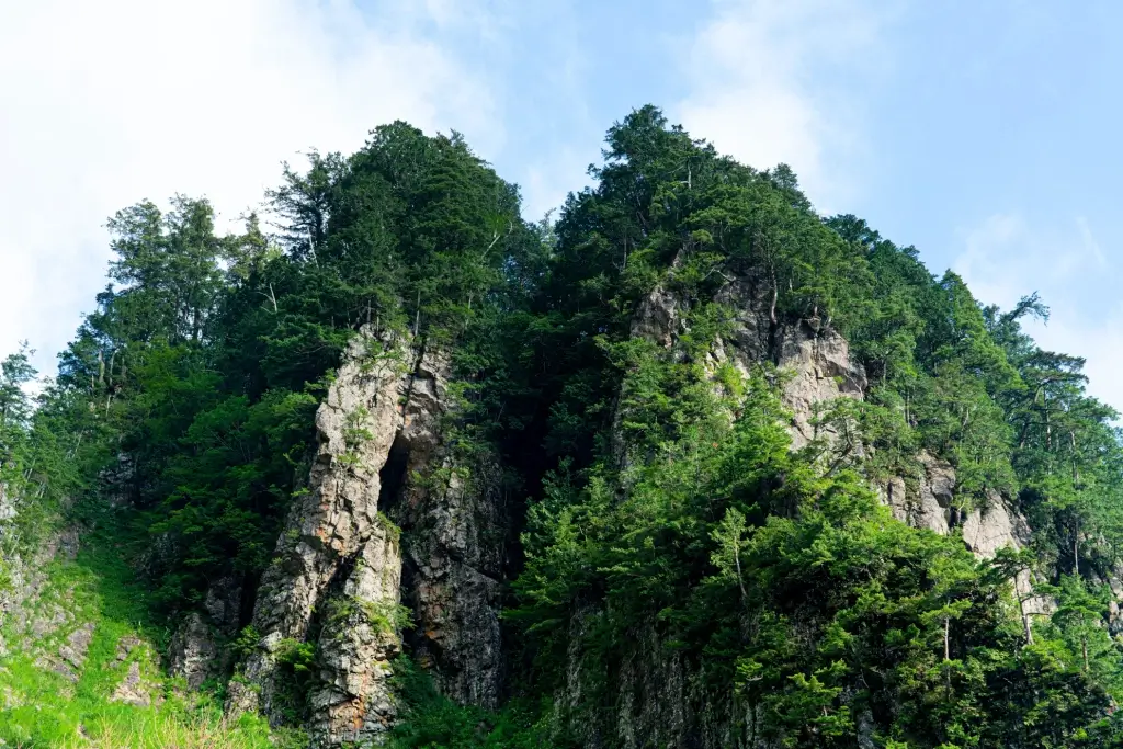 Mount Haku during the day time.