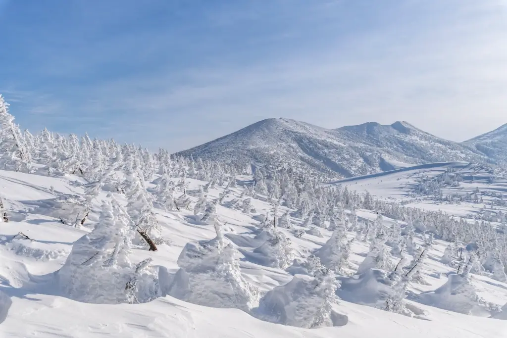 Mount Zao in the winter, behind a bunch of irregular snow pillars that resemble monsters.