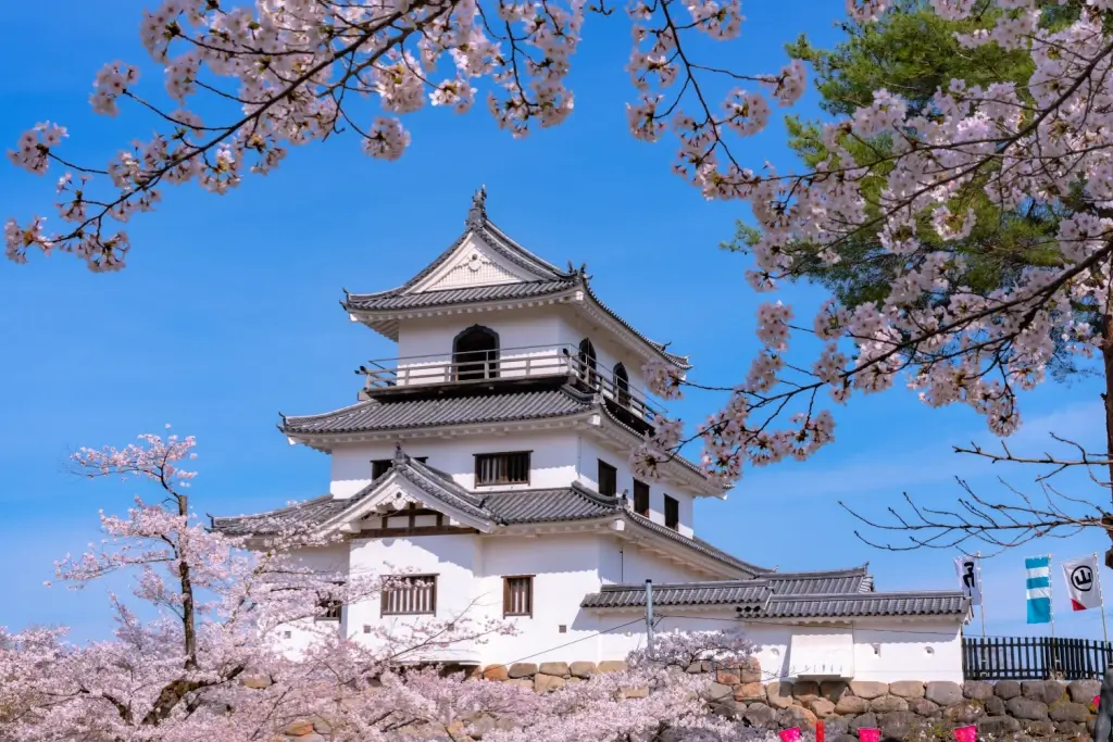 Sendai Castle in spring, surrounded by cherry blossoms.