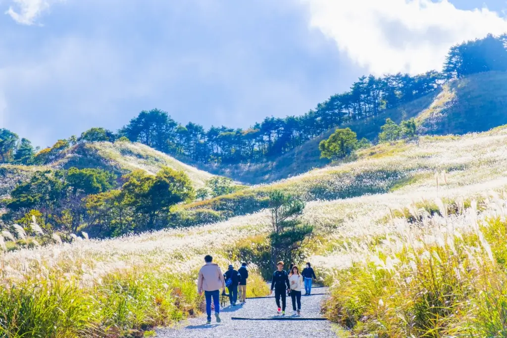 People walking around at Tonomine Kogen in Hyogo Prefecture.