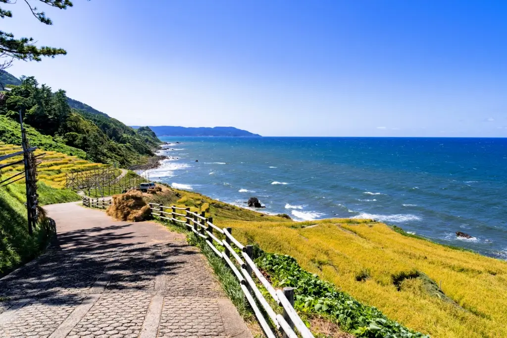 A road near Noto Peninsula.