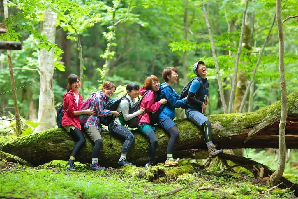 People sitting on a log in Shiso Therapy Roads.