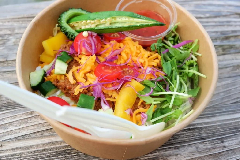 A bowl of taco ride from Okinawa.