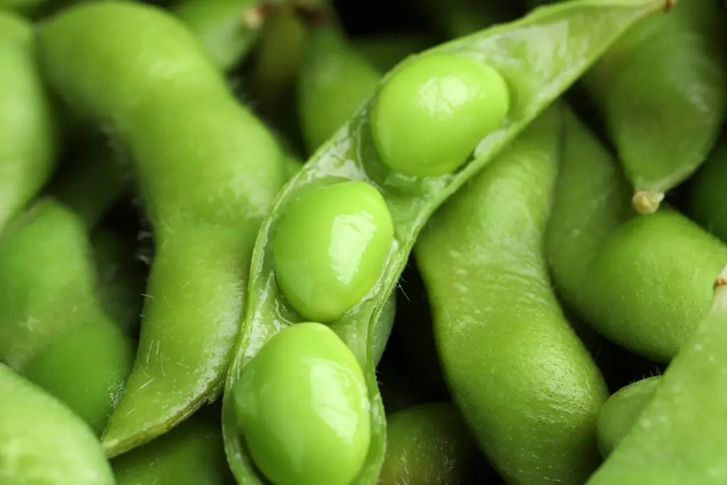 A close up on soybeans.