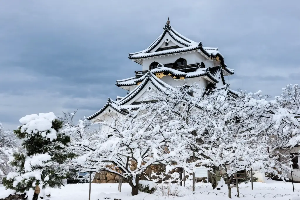 Hikone Castle on a snowy day.