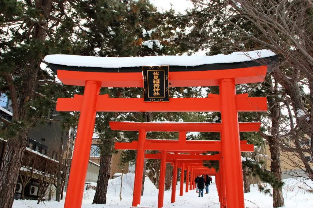 A bunch of torii gates at Sapporo Fushimi Inari Shrine.