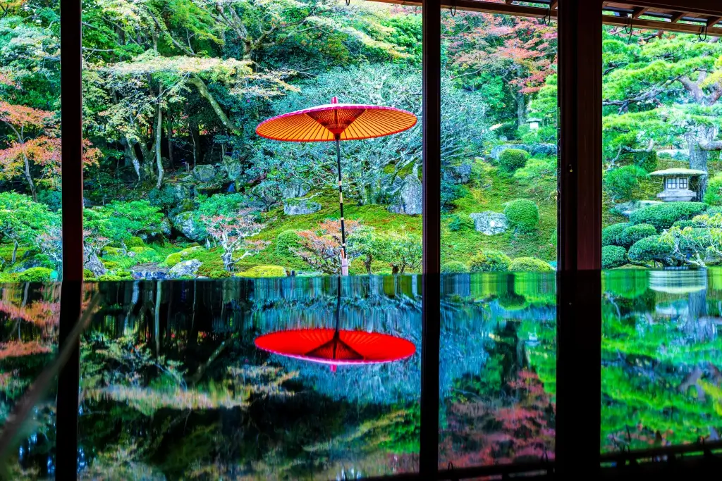 An umbrella display at the Former Bamboo Forest Temple in Shiga Prefecture.