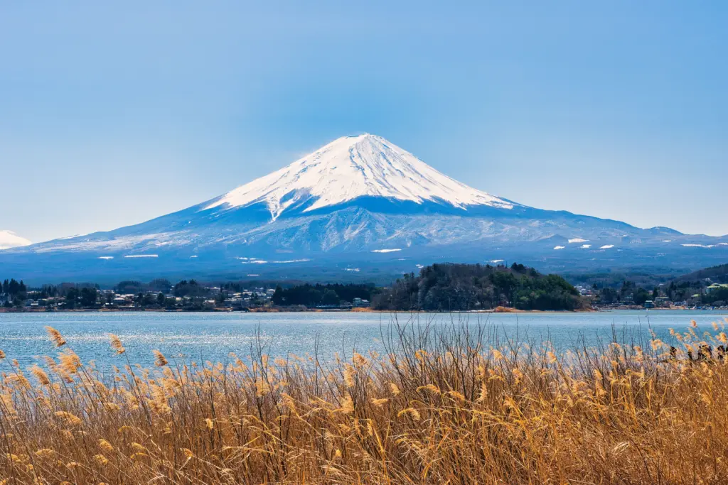 Mount Fuji on a sunny day, perhaps during the Year of the Snake.