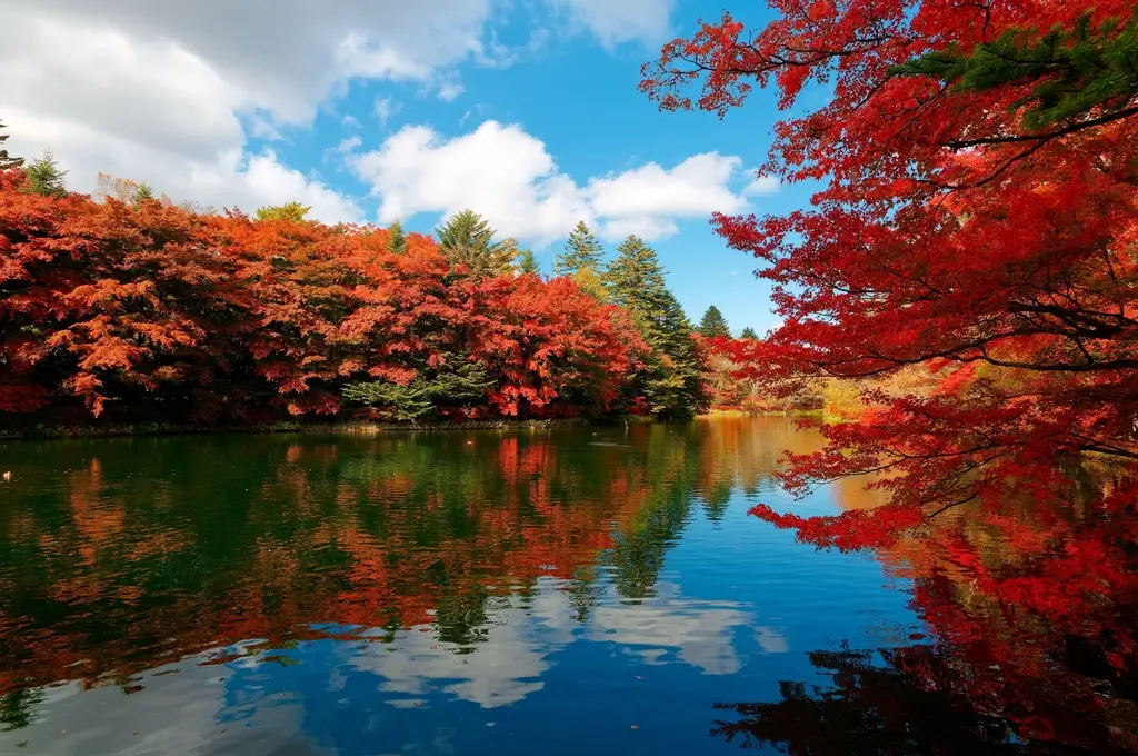 An autumnal scene in Japan.