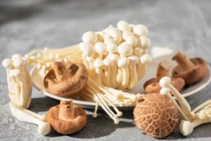 A bunch of different Japanese mushrooms, including enoki and shiitake.