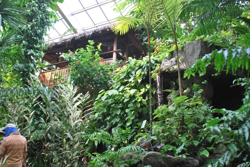 The greenhouse at the Itabashi Botanical Garden.