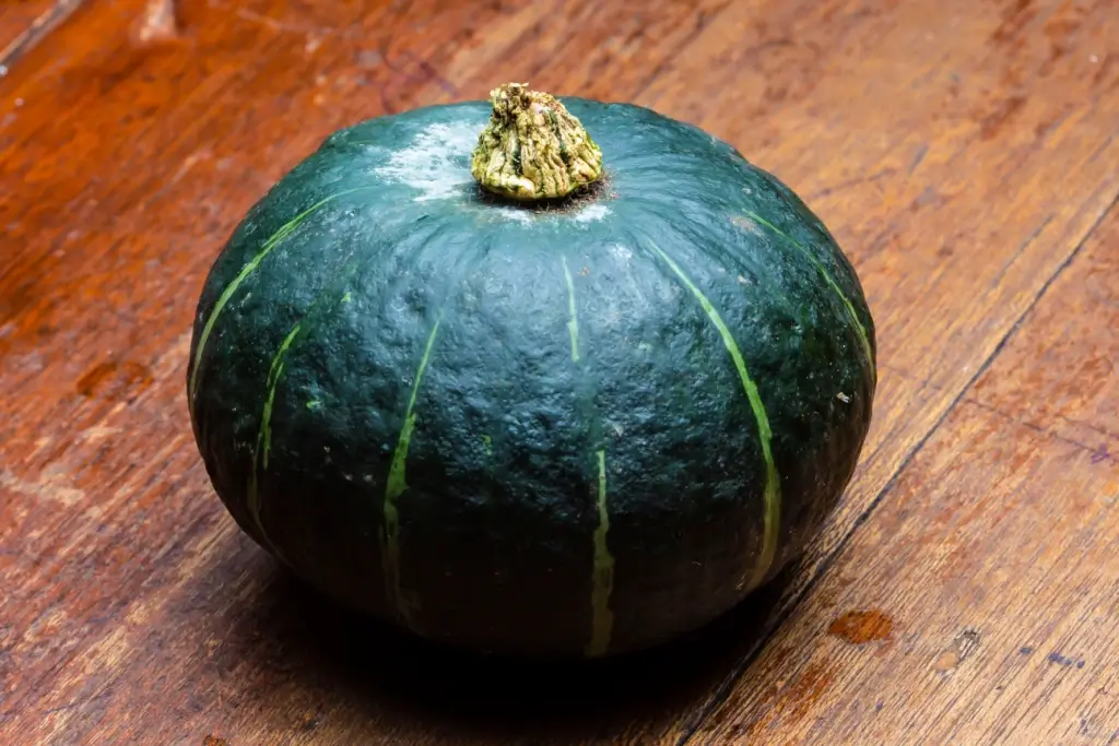 A green Japanese pumpkin.