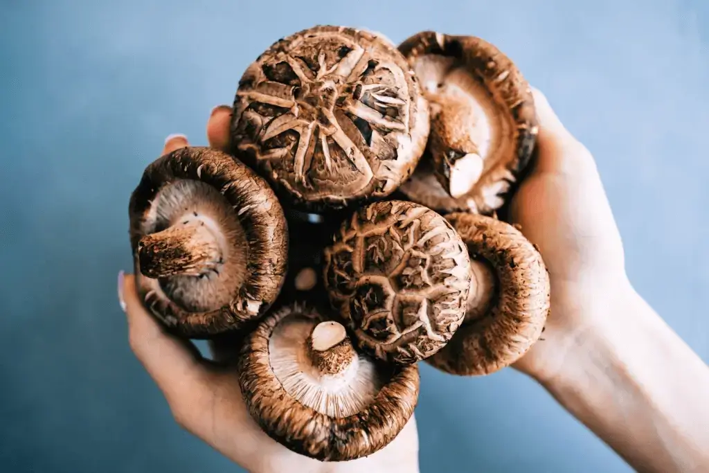 A person holding large shiitake mushrooms. 