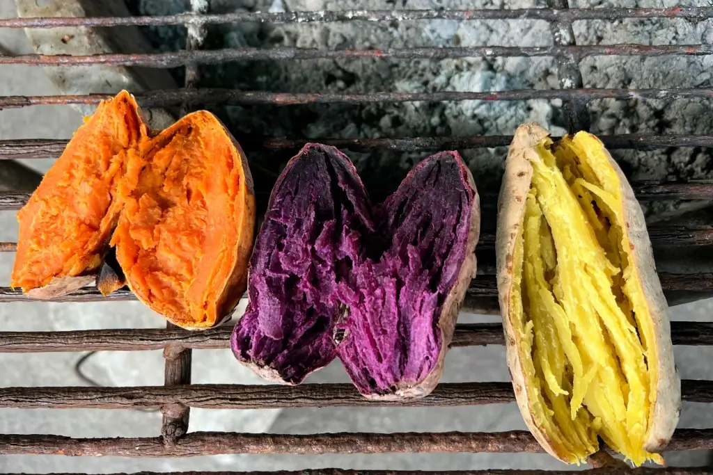 Sweet potatoes of three different colors: orange, purple and yellow.