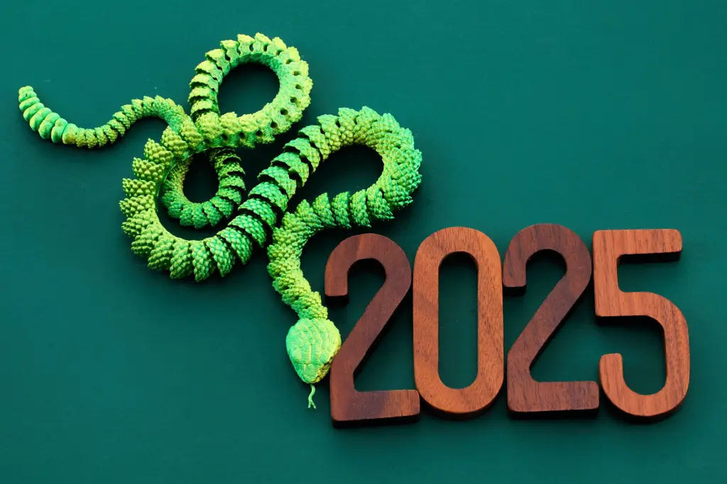 A plastic green snake next to wooden blocks spelling out the year 2025. This represents the Year of the Snake.