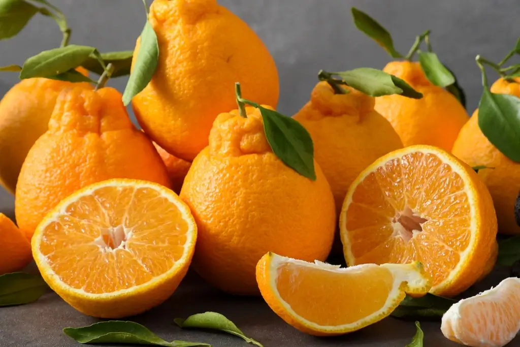 A plate of whole and cross section dekopon oranges.