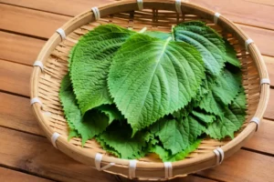 A basket of perilla leaves.