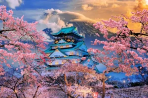 Osaka Castle during the spring, surrounded by Japanese cherry blossoms.