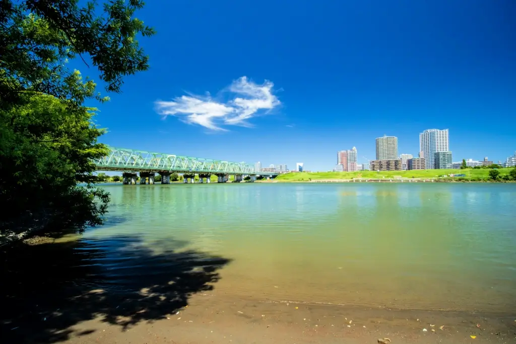 The Arakawa River, with Kawaguchi City in the background.