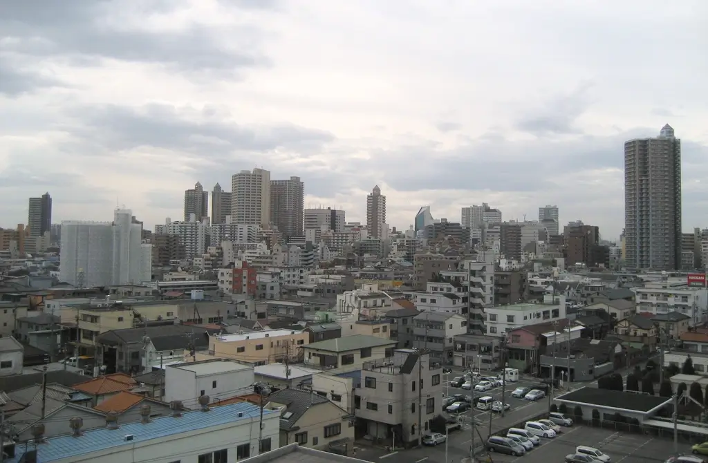 A bird's eye view of Kawaguchi City.