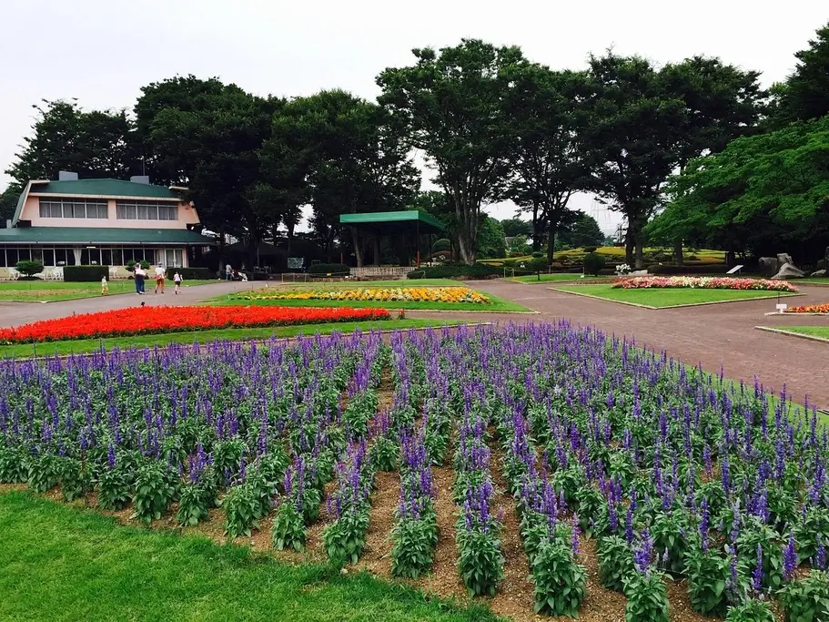 A floral garden at Kawaguchi Green Center.