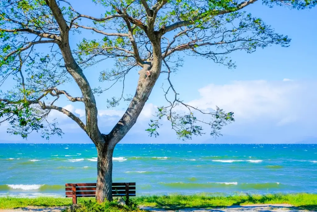 Lake Biwa on a sunny day, near a bench.