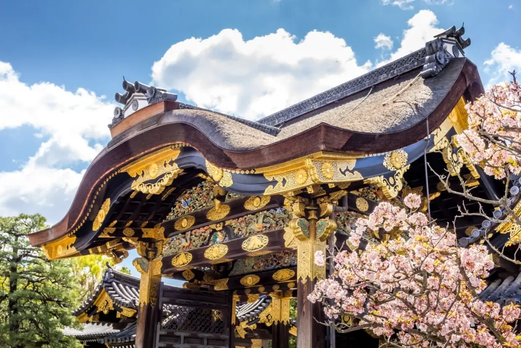 Nijo Castle during the spring, next to cherry blossoms.