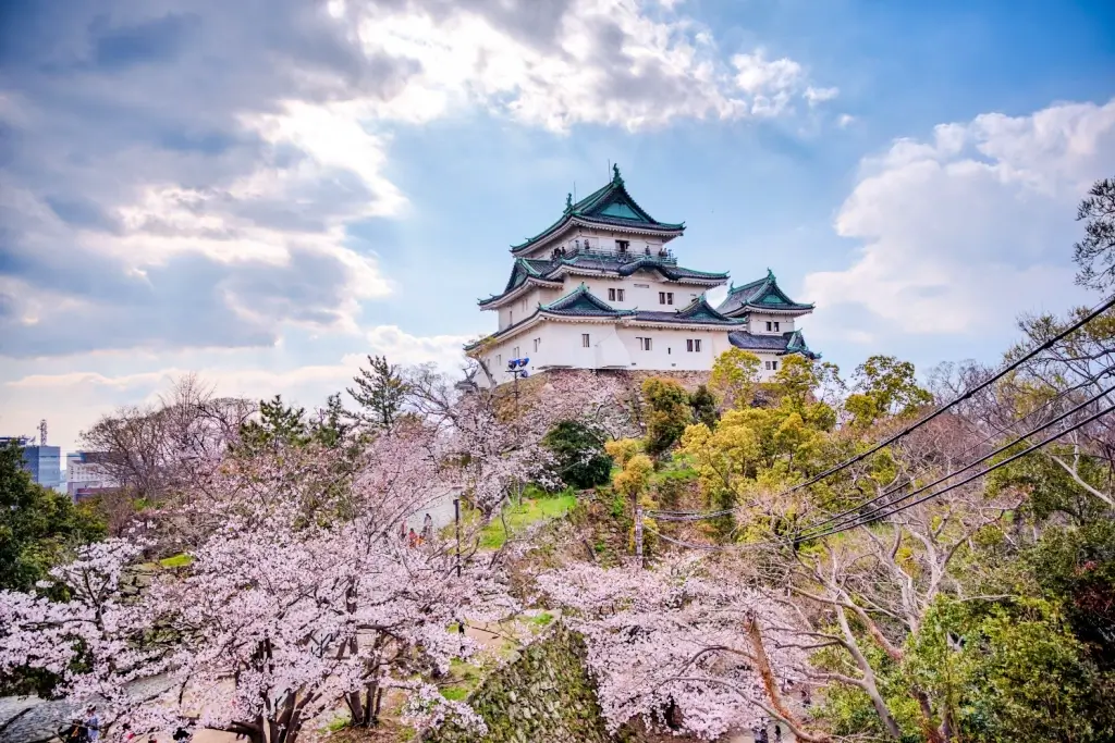 Wakayama Castle in the spring.