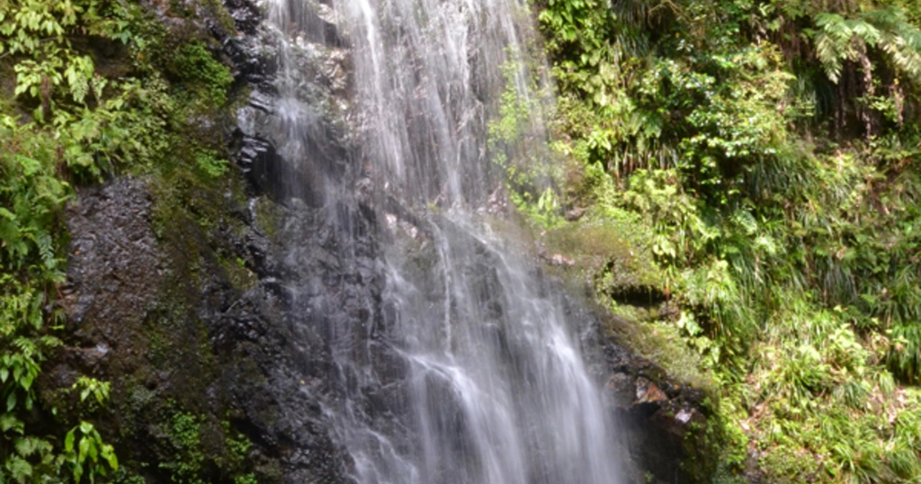 Fudodanjono Falls in Shizuoka.