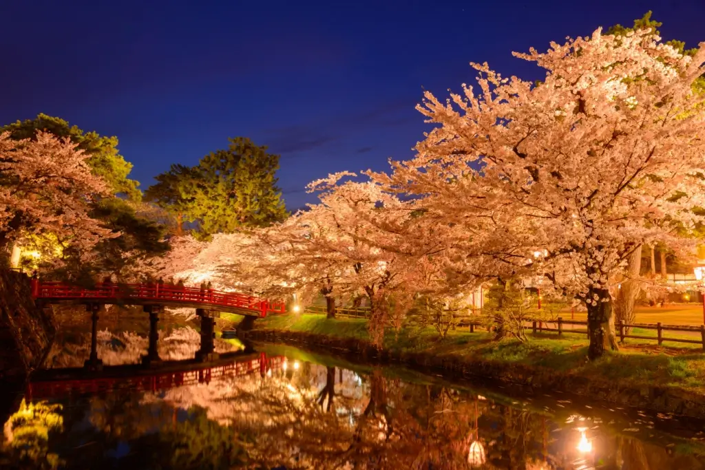 Hirosaki Park at night in Aomori.