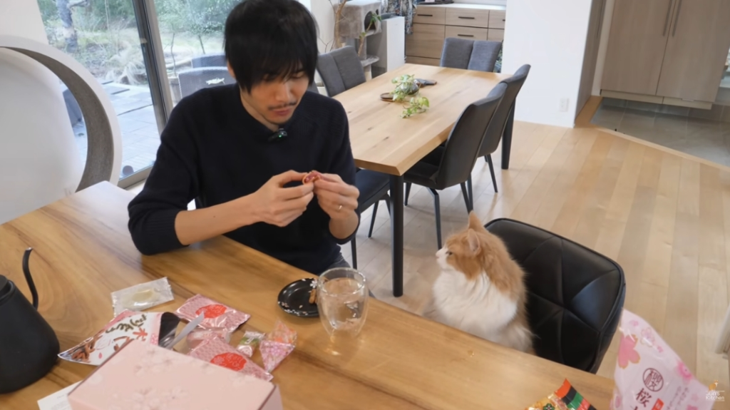 Jun Enjoying Sakuraco Box In His Home