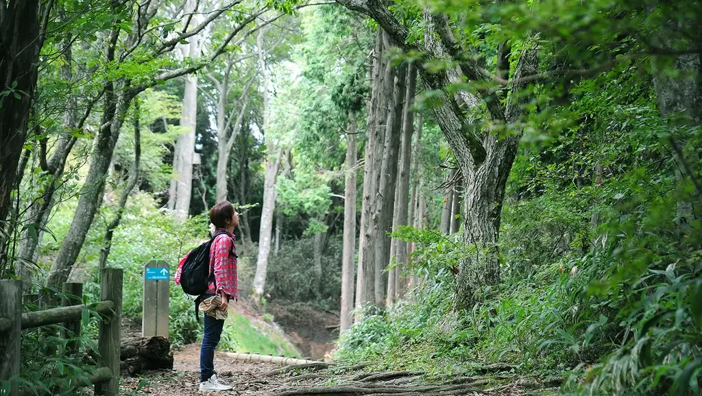 Someone hiking near Mount Kongo.