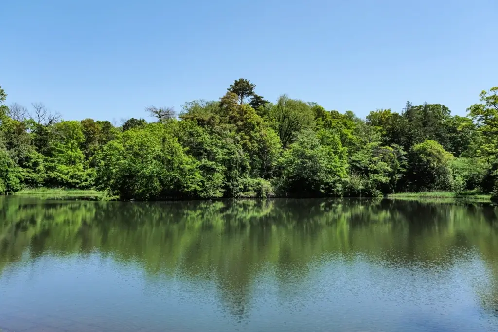 Sayama Pond in the spring!