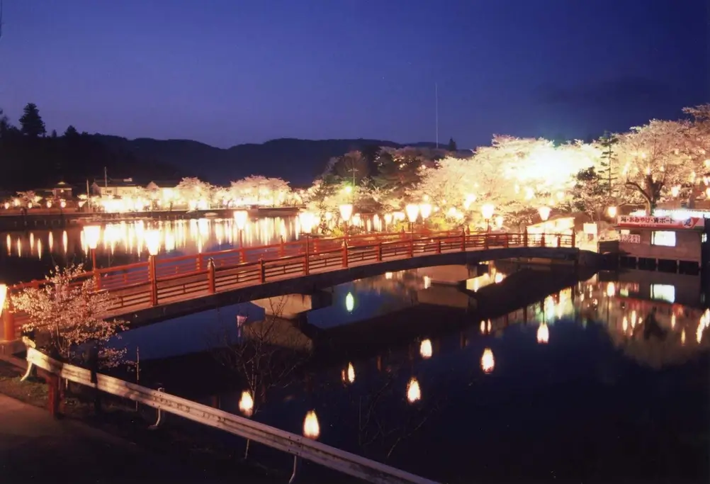 Shobara Ueno Park in Hiroshima at night during cherry blossom season.